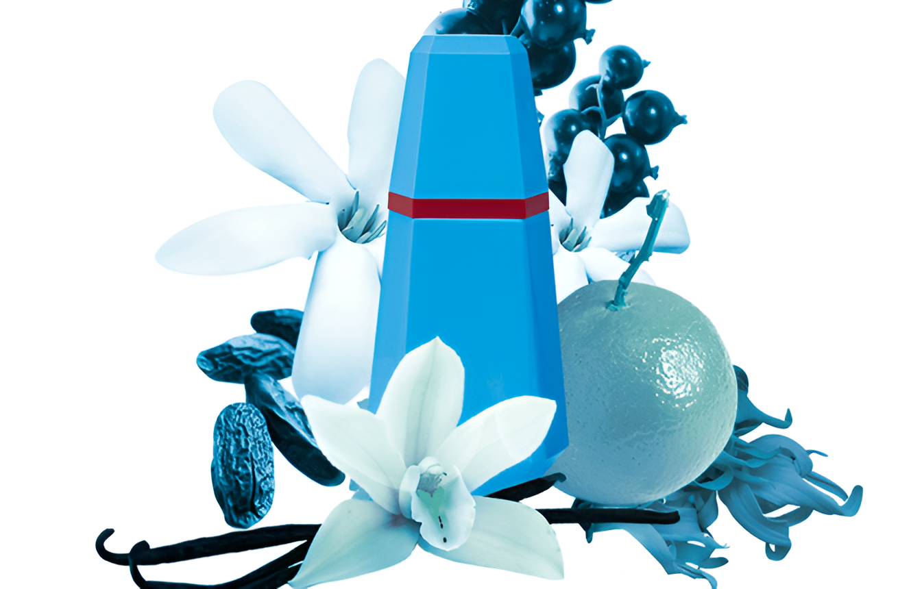 Cacharel - Loulou - Eau de Parfum for Women