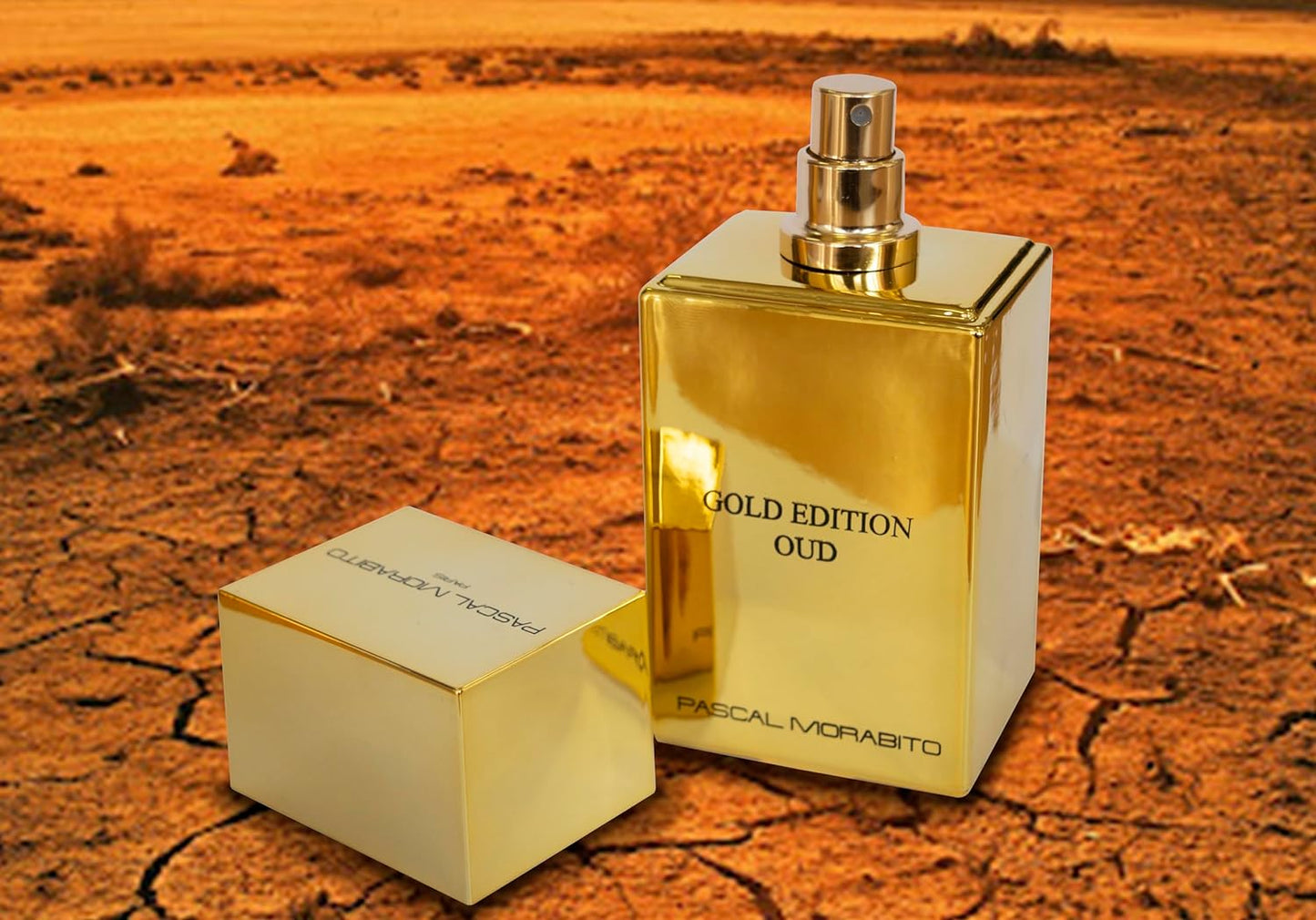 Pascal Morabito - Gold Edition Oud - Eau de Toilette for Men