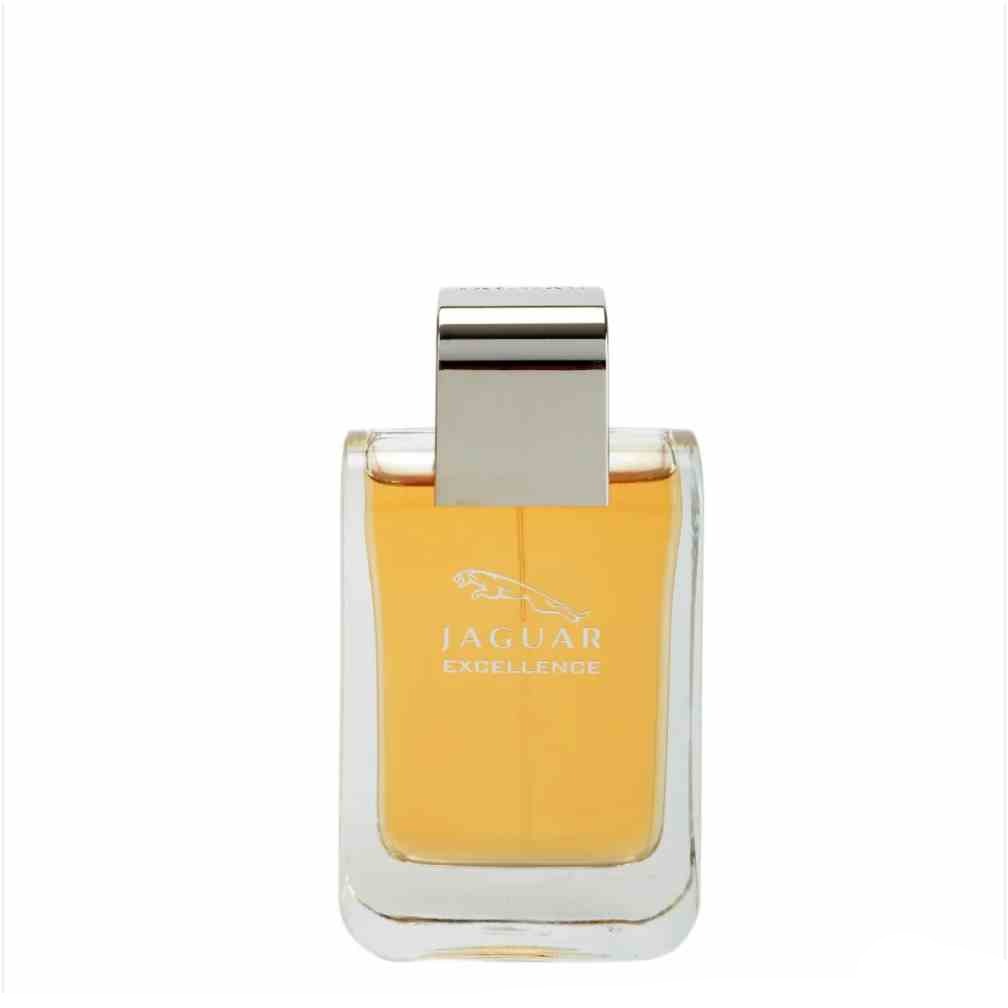 Parfums Excellence by Jaguar for men 100 ml