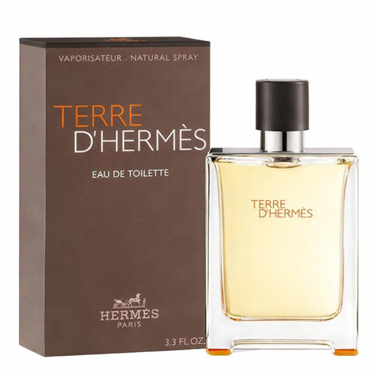 Hermès - Terre D'hermès - Eau de Toilette for Men