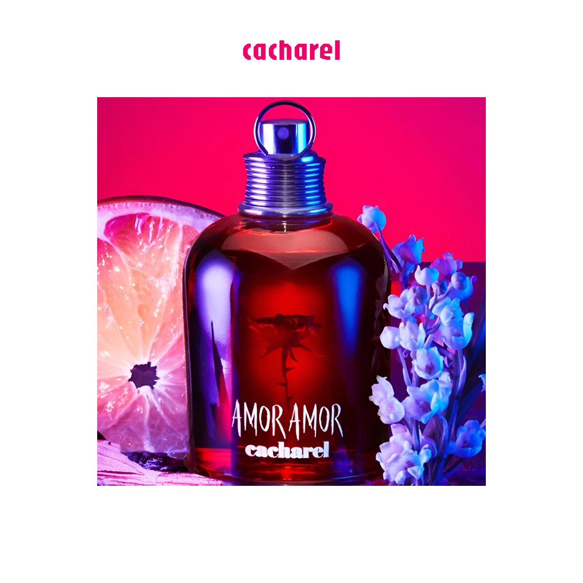 Cacharel - Amor Amor - Eau de Toilette for Women