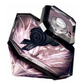 Lancôme - la Night Trésor - Eau de Parfum for Women