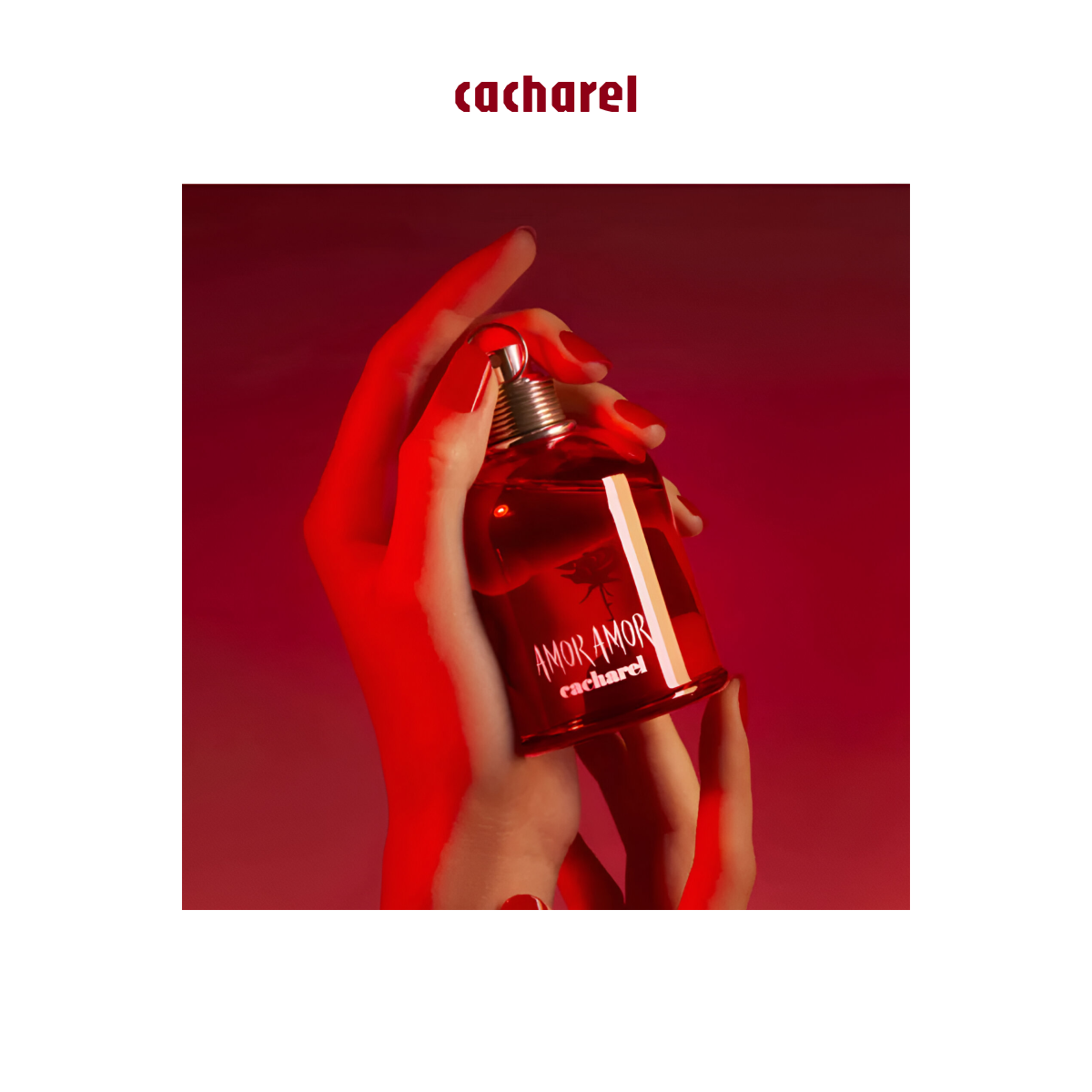 Cacharel - Amor Amor - Eau de Toilette for Women