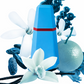 Cacharel - Loulou - Eau de Parfum for Women