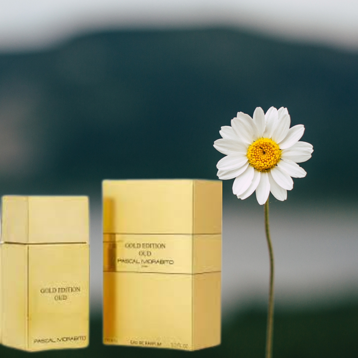 Pascal Morabito - Gold Edition Oud - Eau de Toilette for Men