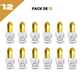 12*5ml el Nabil - Musc Fruity - Parfum Concentrate Sans Alcool