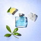 Azzaro - Chrome - Eau de Toilette for Men