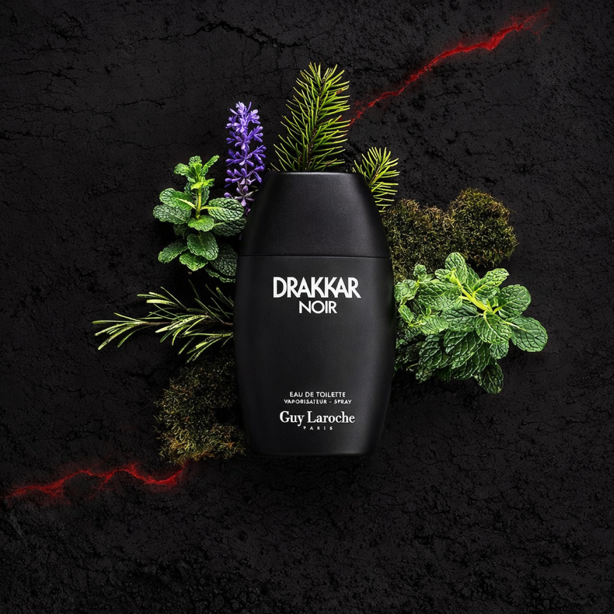 Guy Laroche - Drakkar Noir - Eau de Toilette for Men