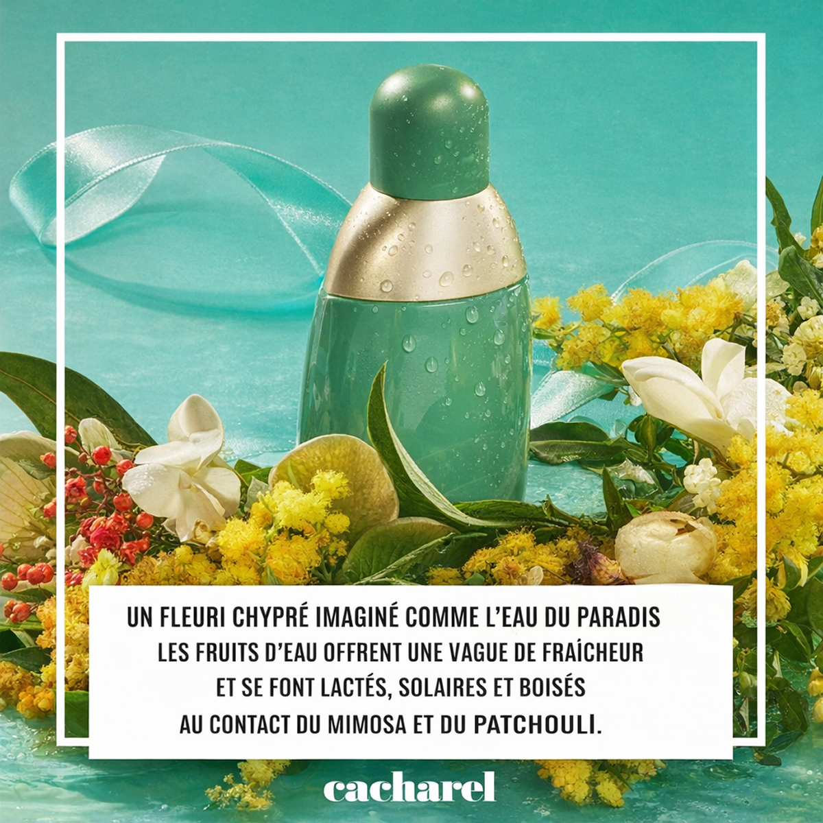 Cacharel - Eden - Eau de Parfum for Women