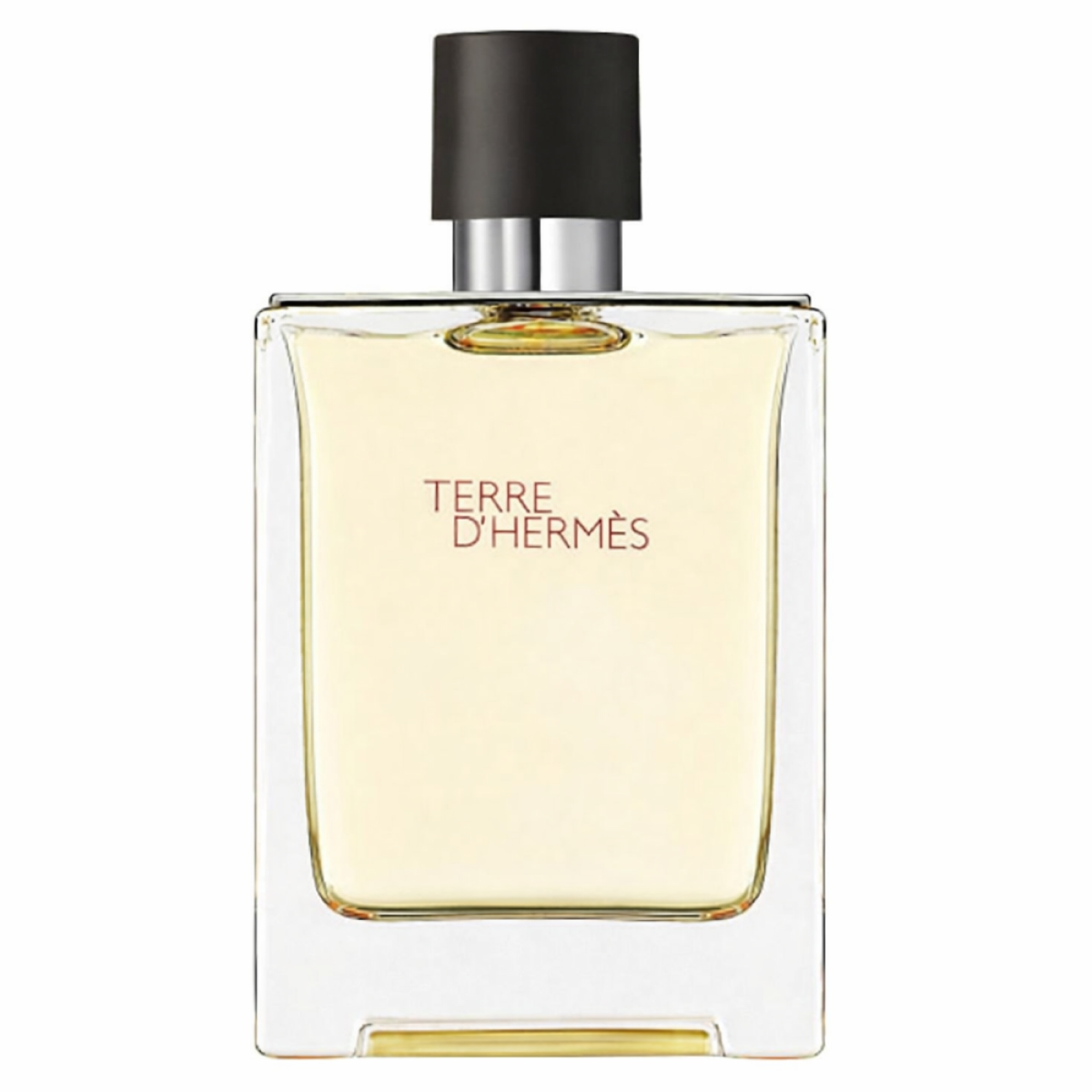 Hermès - Terre D'hermès - Eau de Toilette for Men