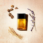 Azzaro - Azzaro for Men - Eau de Toilette for Men