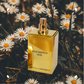 Pascal Morabito - Gold Edition Oud - Eau de Toilette for Men