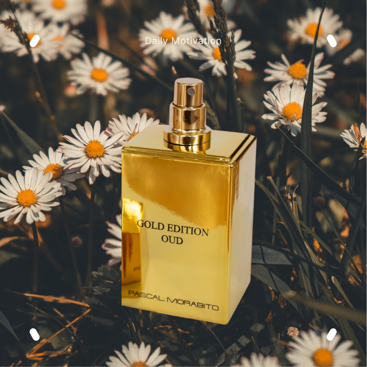 Pascal Morabito - Gold Edition Oud - Eau de Toilette for Men