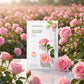 Nature Republic - Real Nature Mask Sheet/Rose
