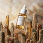 Skin1004 - Madagascar Centella Ampoule